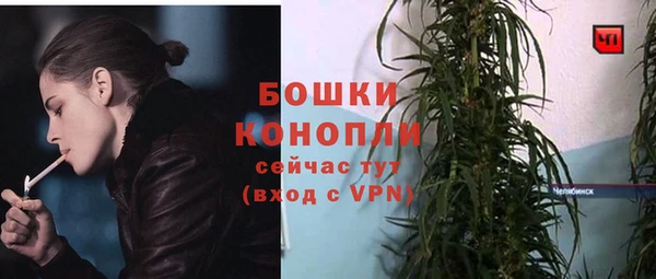 индика Карталы