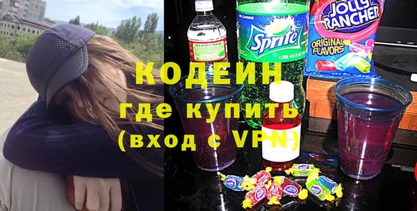 индика Карталы