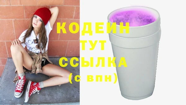 индика Карталы