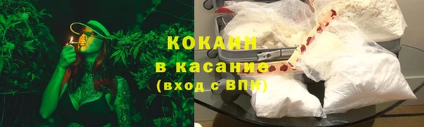 индика Карталы