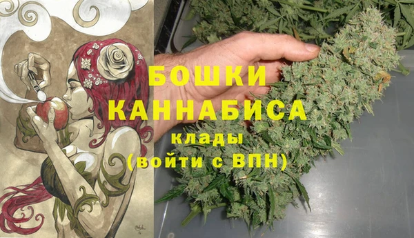 мдпв Кинешма