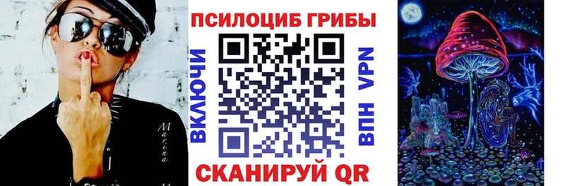 Купить закладки  Губкин  Псилоцибиновые грибы MAGIC MUSHROOMS 